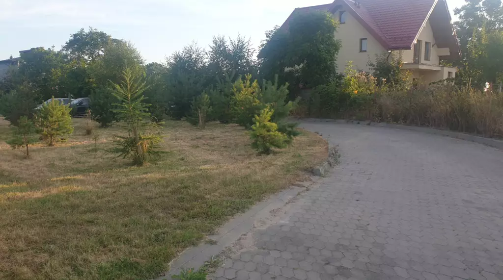 Dom Seniora Lilia w Dębogórzu