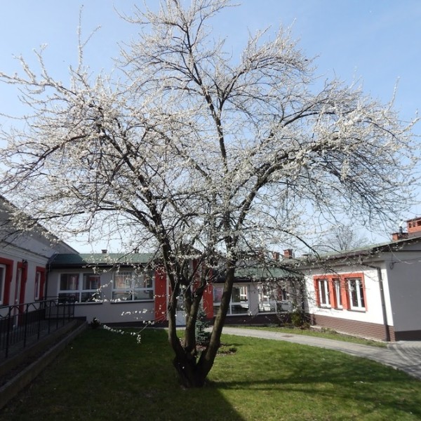 Katolicki Dom Opieki „Józefów" w Bielsku-Białej