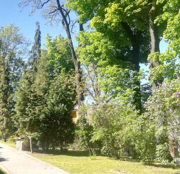 Dom Opieki Zacisze w Szczawnie-Zdroju