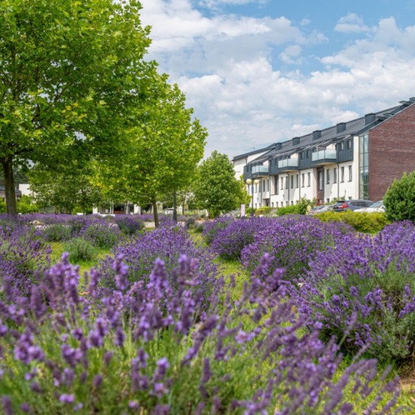 Hotel **** Lawendowe Termy Medical SPA w Uniejowie