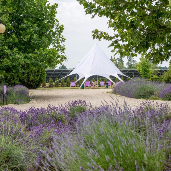Hotel **** Lawendowe Termy Medical SPA w Uniejowie