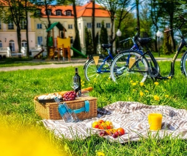 Pałac Alexandrinum w Poświętnem