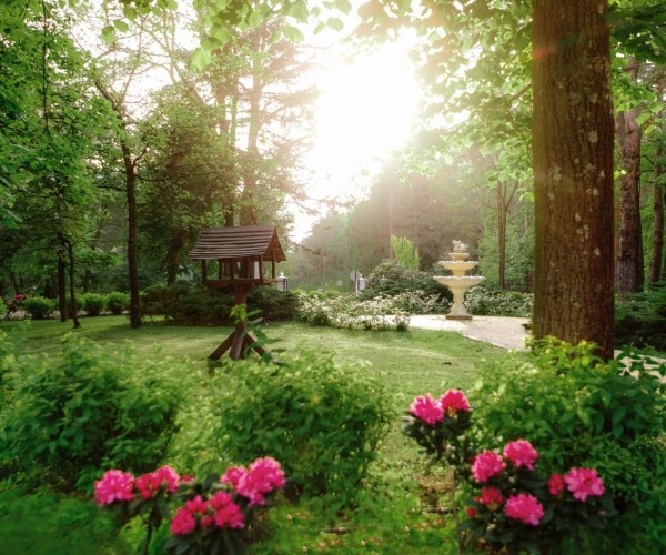 Park Rekreacyjno-Biznesowy LAS WODA w Wildze