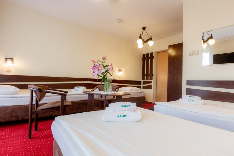 Pensjonat HALNY w Zakopanem