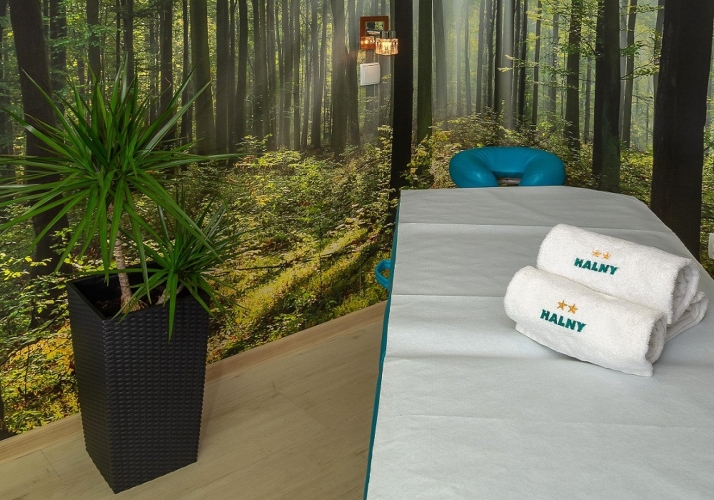 Pensjonat HALNY w Zakopanem