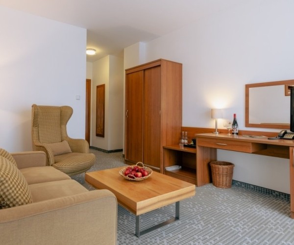 Hotel Krynica w Krynicy-Zdroju