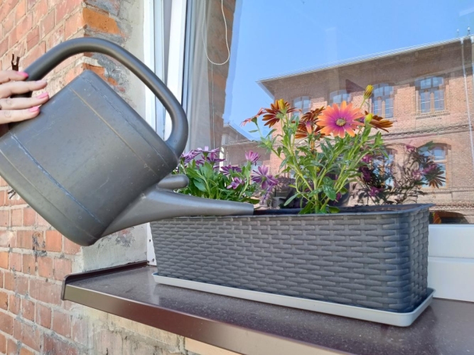 Dzienny Dom Senior+ w Elblągu