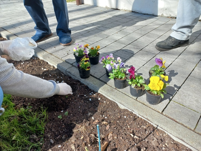 Dzienny Dom SENIOR+ w Brzesku