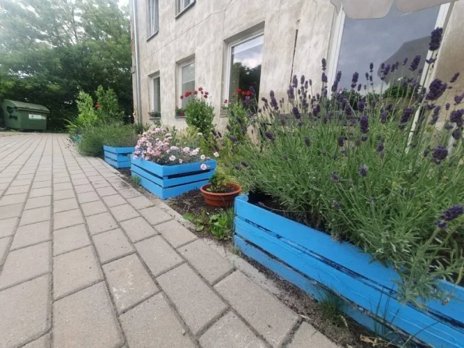 Dzienny Dom SENIOR+ w Rawie Mazowieckiej