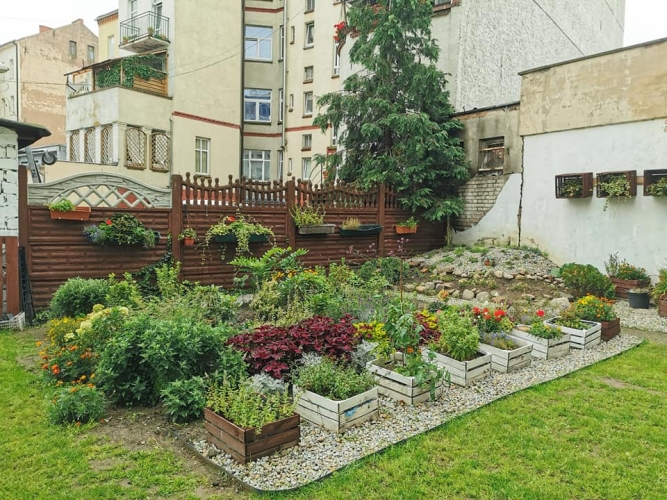 Przed budynkuem Dziennego Domu SENIOR+ w SŁubicach znajduje się niewielki ogród