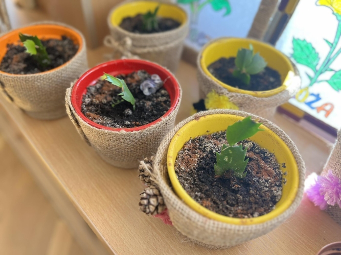 Dzienny Dom SENIOR+ w Cieszynie