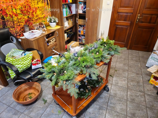 Dzienny Dom SENIOR+ w Sulęcinie