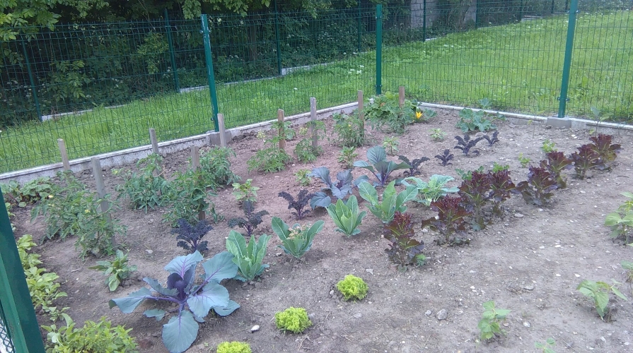 Dzienny Dom SENIOR+ w Książnicach Małych