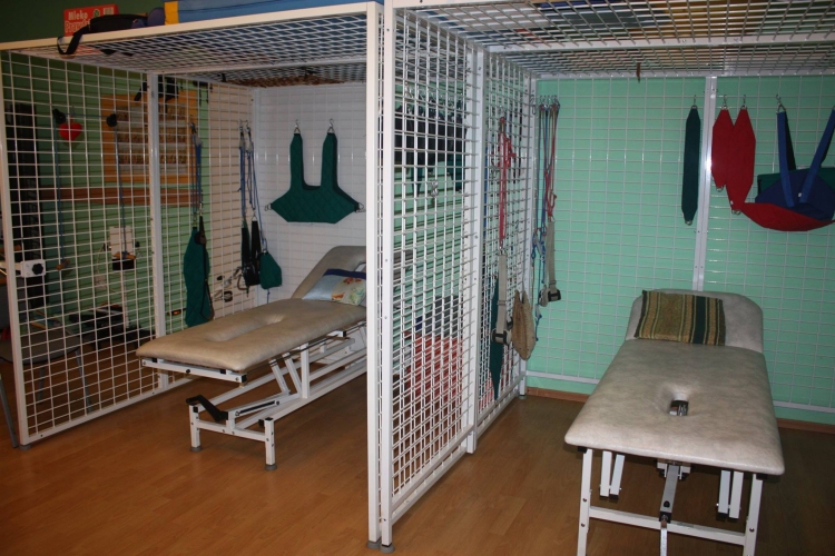 Dzienny Dom SENIOR+ w Żarach