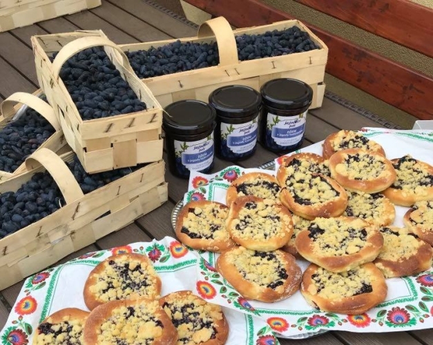 Dzienny Dom SENIOR+ w Olszownicy -  seniorzy podczas zajęć kulinarnych przygotowują samodzielnie sałatki, desery i słodkie wypieki