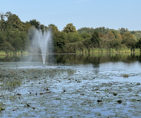 Centrum Rehabilitacji Zielone Wzgórze w Kielnie
