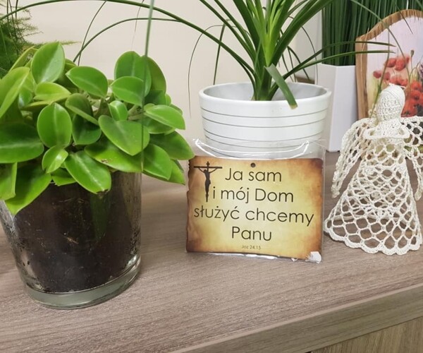 Dom Seniora w Świderkach
