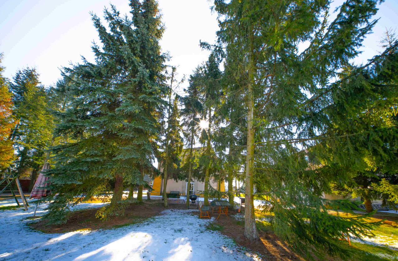 Dom Opieki RADOŚĆ w Konstantynowie Łódzkim