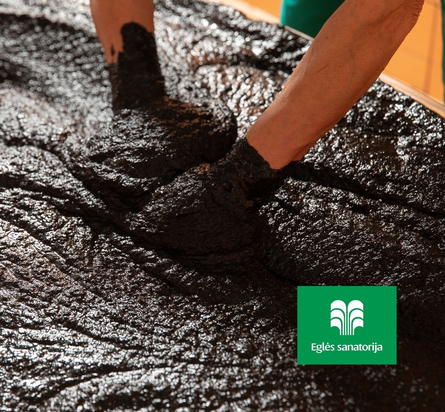 Sanatorium „Eglės sanatorija” w Druskiennikach i Birsztanach na Litwie