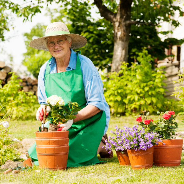 seniorka pracująca w ogrodzie