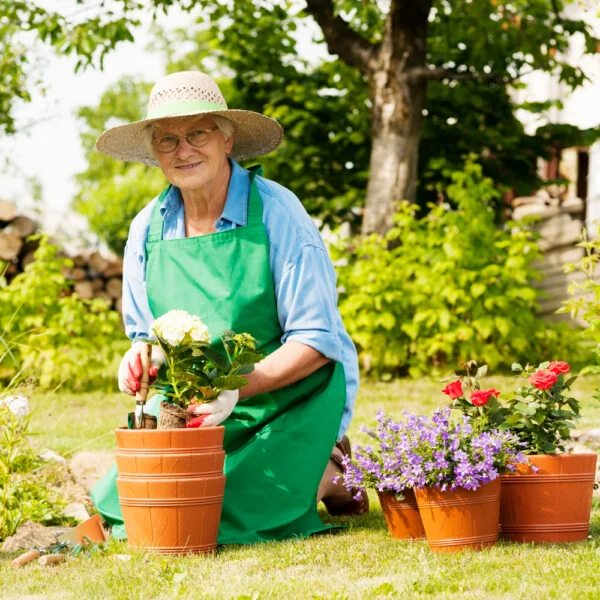 seniorka pracująca w ogrodzie