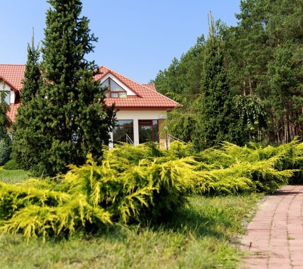 Prywatny Dom Opieki Villa Carpatia w Żołyni