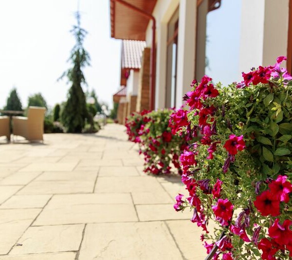 Prywatny Dom Opieki Villa Carpatia w Żołyni
